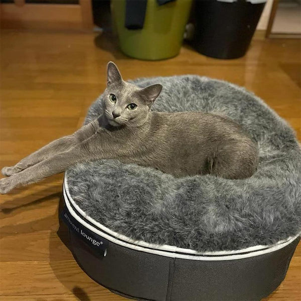 Luxury Indoor/Outdoor Cat Bed