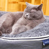 Luxury Indoor/Outdoor Cat Bed