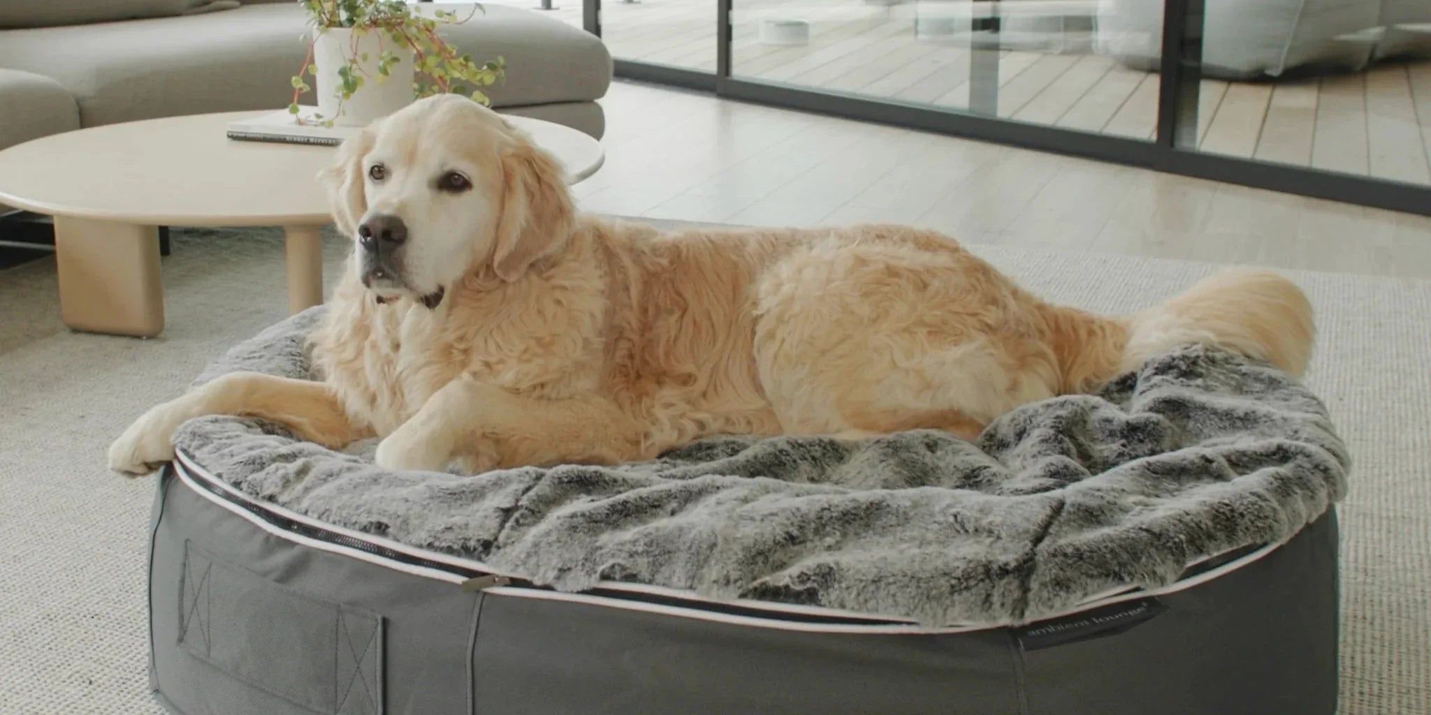 Rebound Foam Mattress Dog Beds