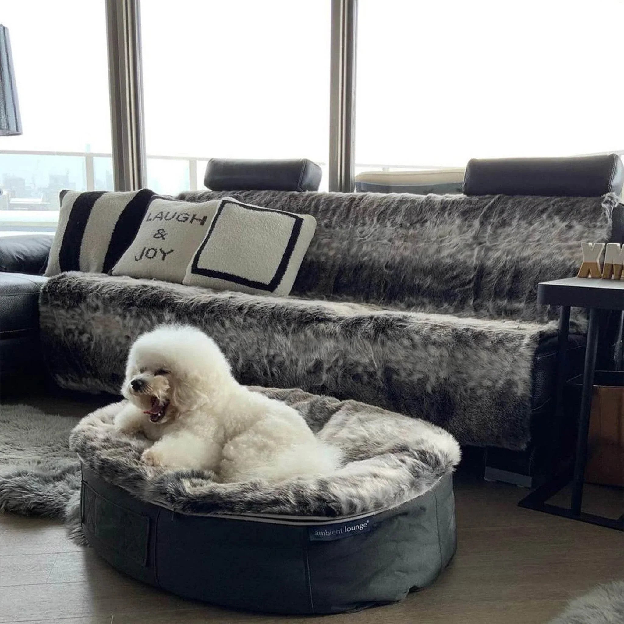 Wild Animal Dog Beds