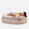 (XXL) Premium Indoor/Outdoor Dog Bed (Cappuccino)