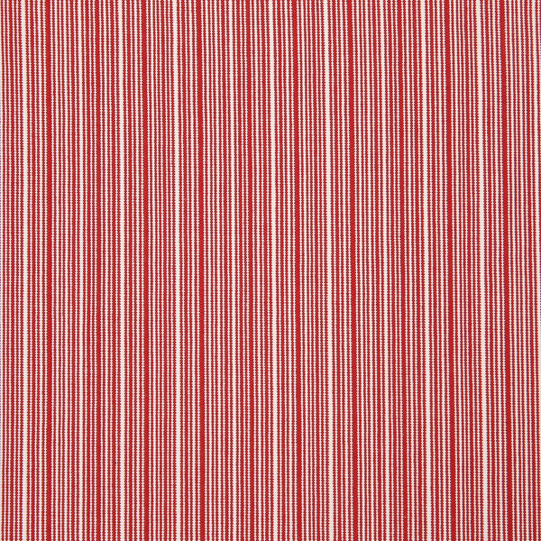 Contempo Package (Raspberry Polo)