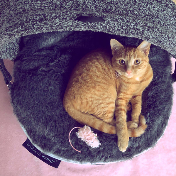 Katzenbett mit Kapuze