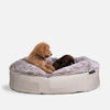 (L) Premium Indoor/Outdoor Dog Bed (Cappuccino)