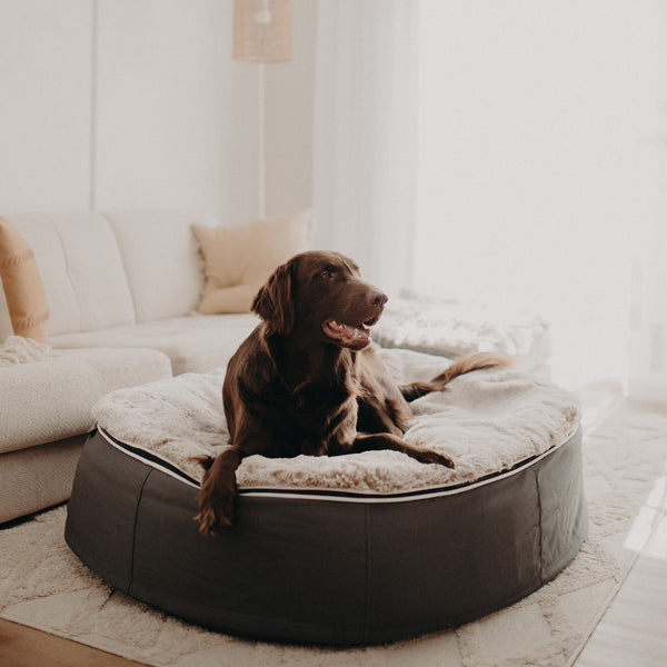 Large Luxury Dog Bed - Interior/Outdoor
