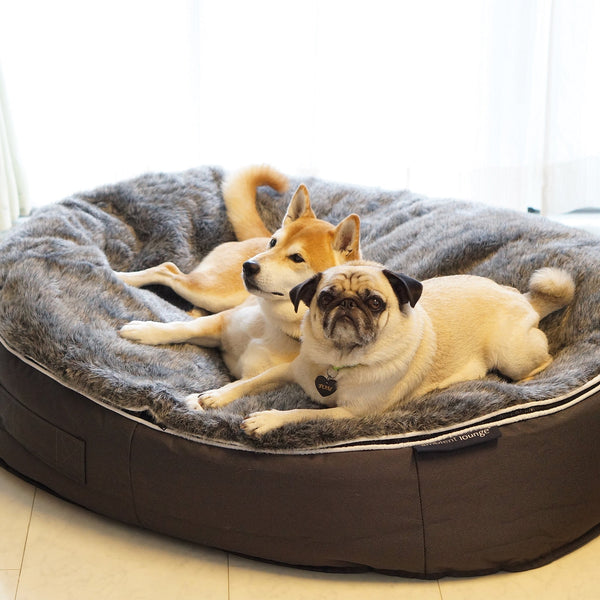 (L) Luxury Indoor/Outdoor Dog Bed (original)