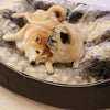 (L) Premium Indoor/Outdoor Dog Bed (Wild Animal)