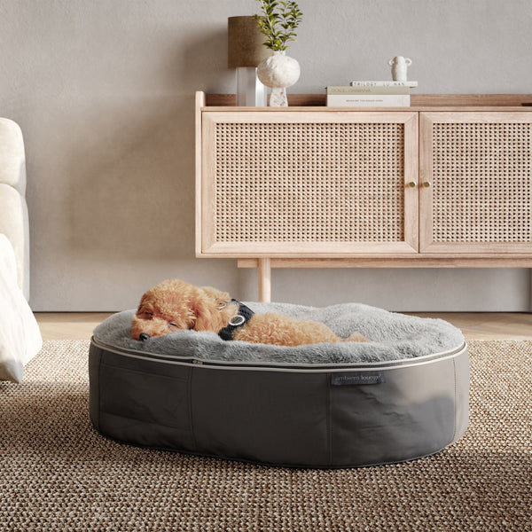 (M) Luxury Indoor/Outdoor Dog Bed (original)