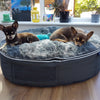 Small Luxury Dog Bed - Interior/Outdoor