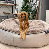 XXL Luxury Dog Bed - Interior/Outdoor