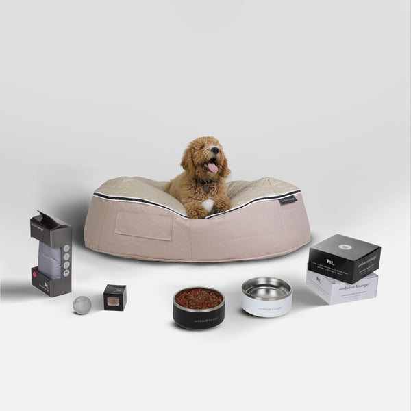 Kit essenziale per cani di taglia grande