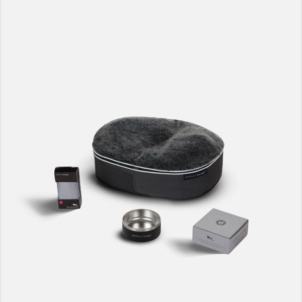 Kit essenziale per cani di piccola taglia