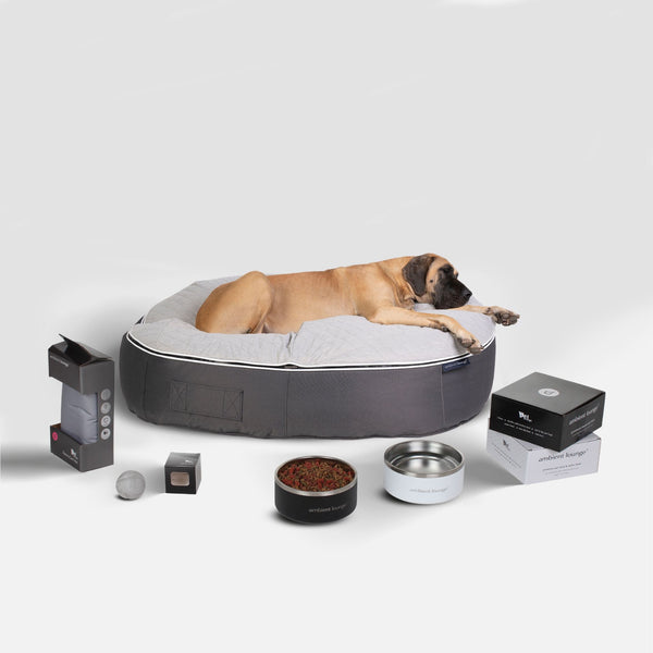 Nuovo set XXL di lusso essenziale per cani