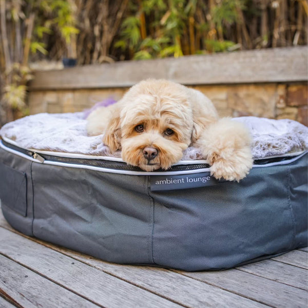 Hundebett aus mittelfestem Schaumstoff – für drinnen und draußen