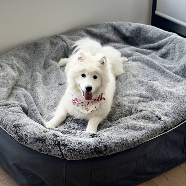 XXL Rebound Foam Mattress Dog Bed - Interior/Outdoor