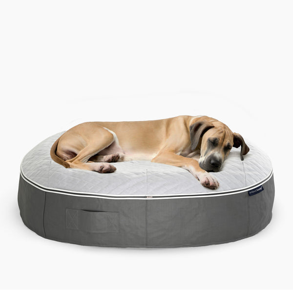 XXL Rebound Foam Mattress Dog Bed - Interior/Outdoor