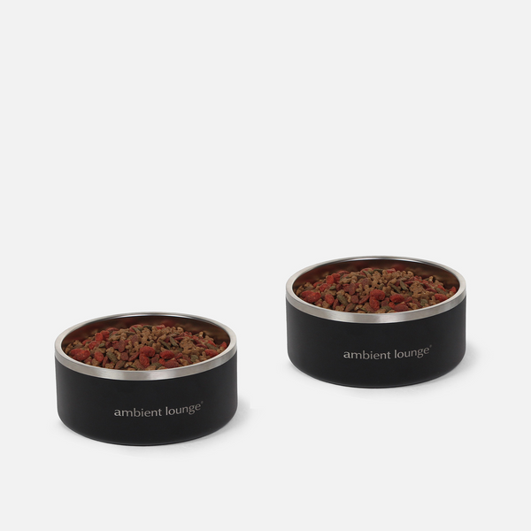 Set di 2 ciotole per cani in acciaio inox a doppia parete da 1 litro per cibo e acqua.