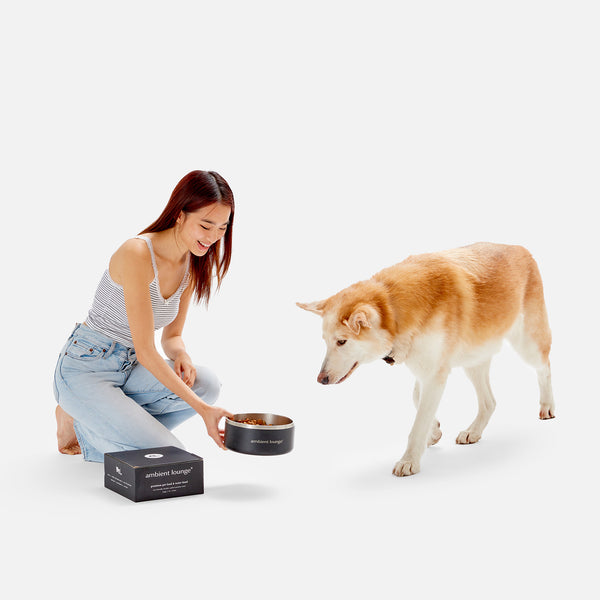 2-Liter-Doppelwandiger Edelstahl-Futter- und Wassernapf für Hunde