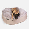 (XXL) Premium Indoor/Outdoor Dog Bed (Cappuccino)