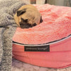 (S) Premium Indoor/Outdoor Dog Bed (Ballerina Pink - ltd. edition)